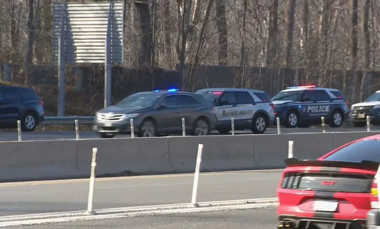 Man stabbed, killed his own dog in deadly road rage attack on I-495 in Virginia