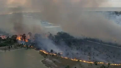 Mandatory evacuation issued for Hernando County neighborhood due to brush fire: HCFR