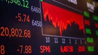 Market Resilience: Indices Bounce Off Key Technical Floors