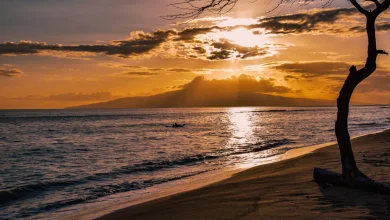 Maui Weather Forecast for March 15, 2026