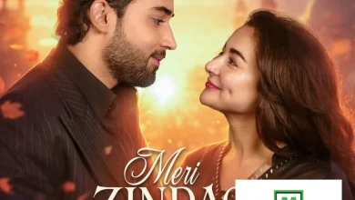 Meri Zindagi Hai Tu ends with heartwarming airport reunion