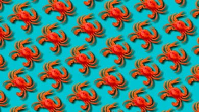 Meta acquired Moltbook, the AI agent social network that went viral because of fake posts