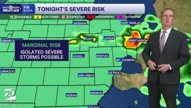 Metro Detroit Weather: Rain and storm chances all week