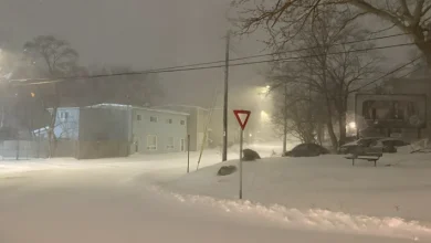 Metro Schools, Government Offices Closed Amid Winter Storm