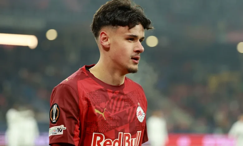 Milan have sent scouts to Cardiff to watch Bajraktarevic and Alajbegović from Bosnia and Herzegovina