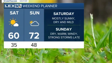 Mild, dry start to the weekend