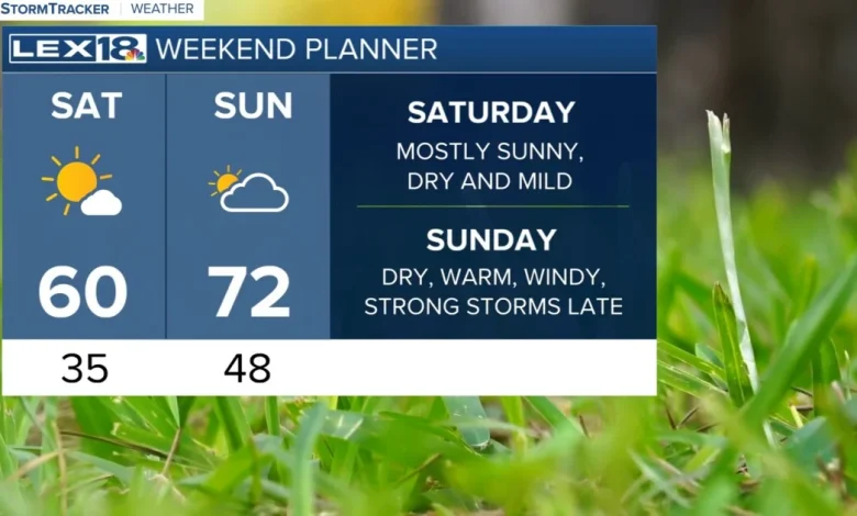Mild, dry start to the weekend
