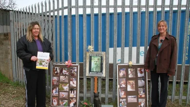 Minehead cat Gizmo remembered with life-size statue