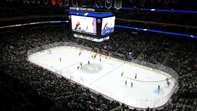 Minnesota hockey reporter Jessi Pierce and her 3 children found dead in White Bear Lake house fire - MPR News