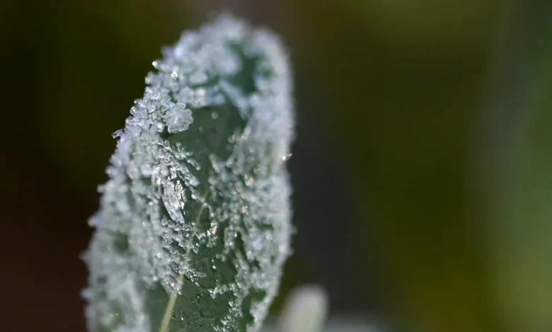 More snow for Nashville? What to know ahead of cold front hitting Middle Tennessee