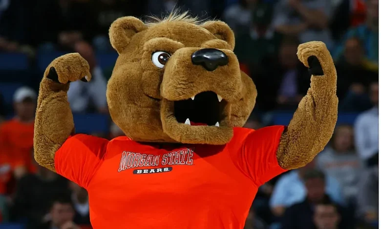 Morgan State Bears vs. Delaware State Hornets prediction, pick for MEAC Quarterfinal on Wednesday 3/11/26