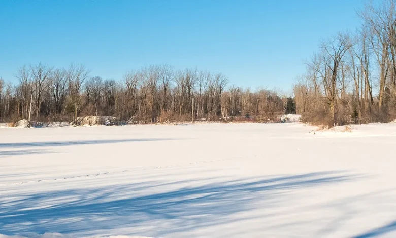 Mortalité de poissons aux lacs Fauvel : le manque d’oxygène identifié comme cause probable