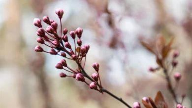 Mostly dry and up to 19°C - today's weather forecast