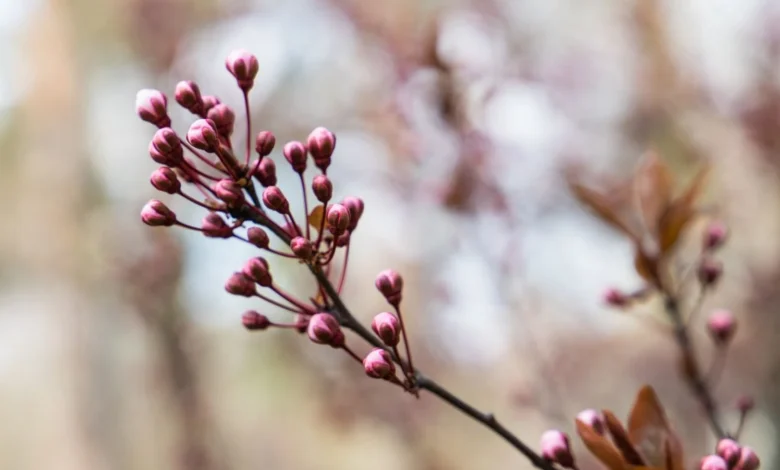 Mostly dry and up to 19°C - today's weather forecast