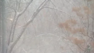 Much of Alberta, parts of B.C. and Saskatchewan set to see dangerous winds