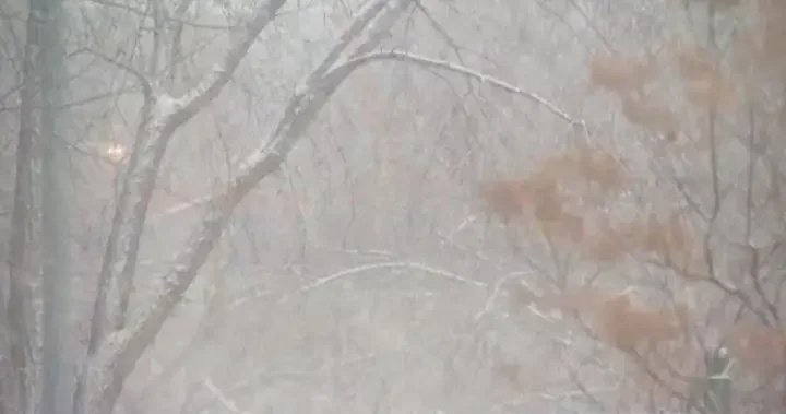 Much of Alberta, parts of B.C. and Saskatchewan set to see dangerous winds