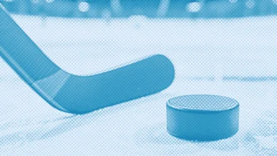 NHL Stars Shine in Goal Scorer Parlay