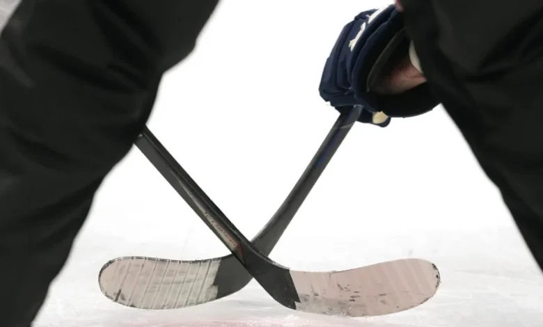 NHL reporter Jessi Pierce, 3 children die in house fire