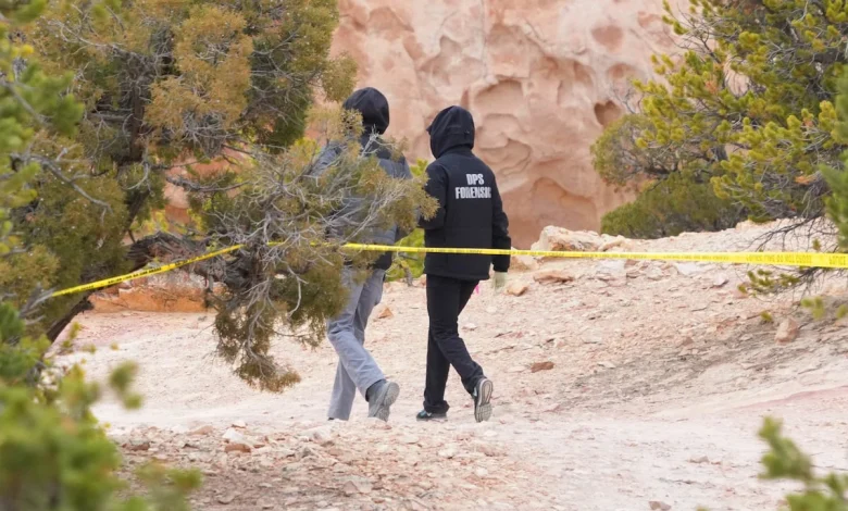 Names of 3 women killed in Wayne County, Utah released