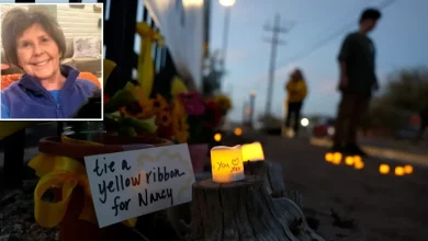 Nancy Guthrie disappearance: Day 30 latest updates