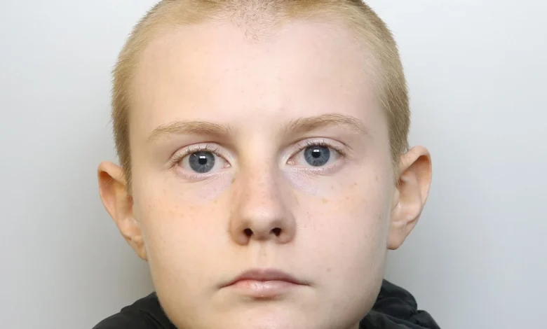 Nazi-obsessed teenager described herself as 'embodiment of hell' before launching axe attack