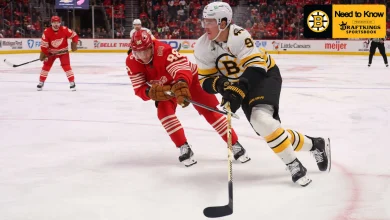 Need to Know: Bruins at Red Wings