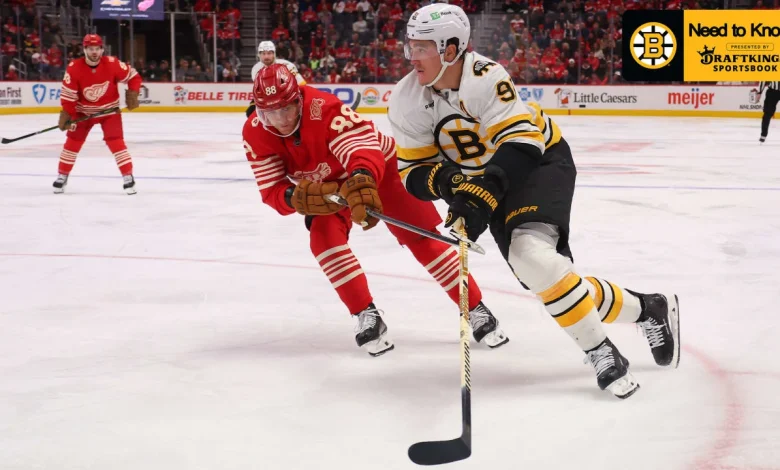 Need to Know: Bruins at Red Wings