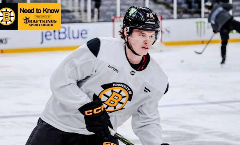 Need to Know: Bruins vs. Jets