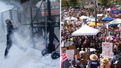 'No Kings' protests 2026: Chaotic scene unfolds after thousands gathered for 'No Kings' rally in downtown Los Angeles