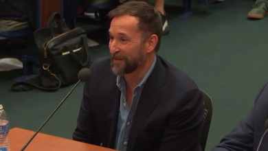 Noah Wyle Testifies at Hearing on an Imploding Hollywood