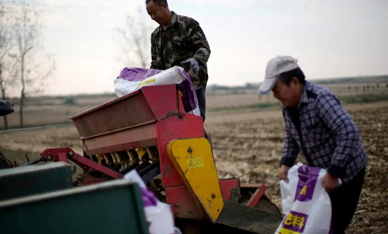 Not just energy: How the Iran war could trigger a global food crisis