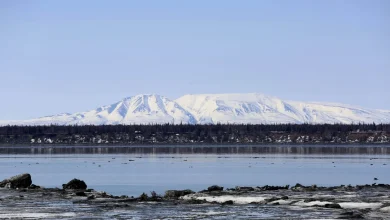Number of Bids at Trump's Alaska Drilling Auction: Zero