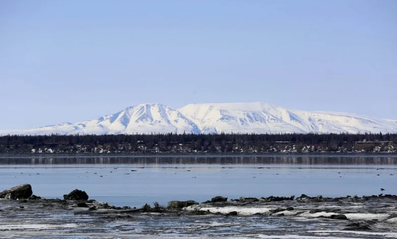 Number of Bids at Trump's Alaska Drilling Auction: Zero