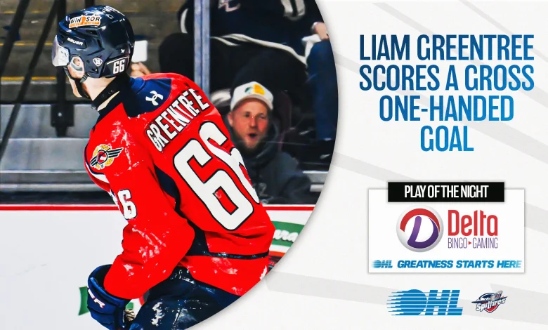 OHL Play of the Night: Liam Greentree scores a one-handed beauty