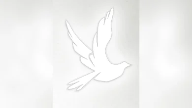 Obituary for Lynn Delieth Sullivan