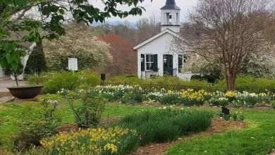 Old City Cemetery Requests Temporary Removal of Grave Decorations During Clean-Up Week