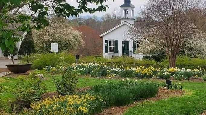 Old City Cemetery Requests Temporary Removal of Grave Decorations During Clean-Up Week