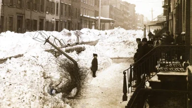 On This Date: The Blizzard Of 1888 Began Hammering New York City, Northeast