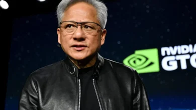 One AI bubble has already burst. The next one—a 'rare' kind—is still growing, economist warns