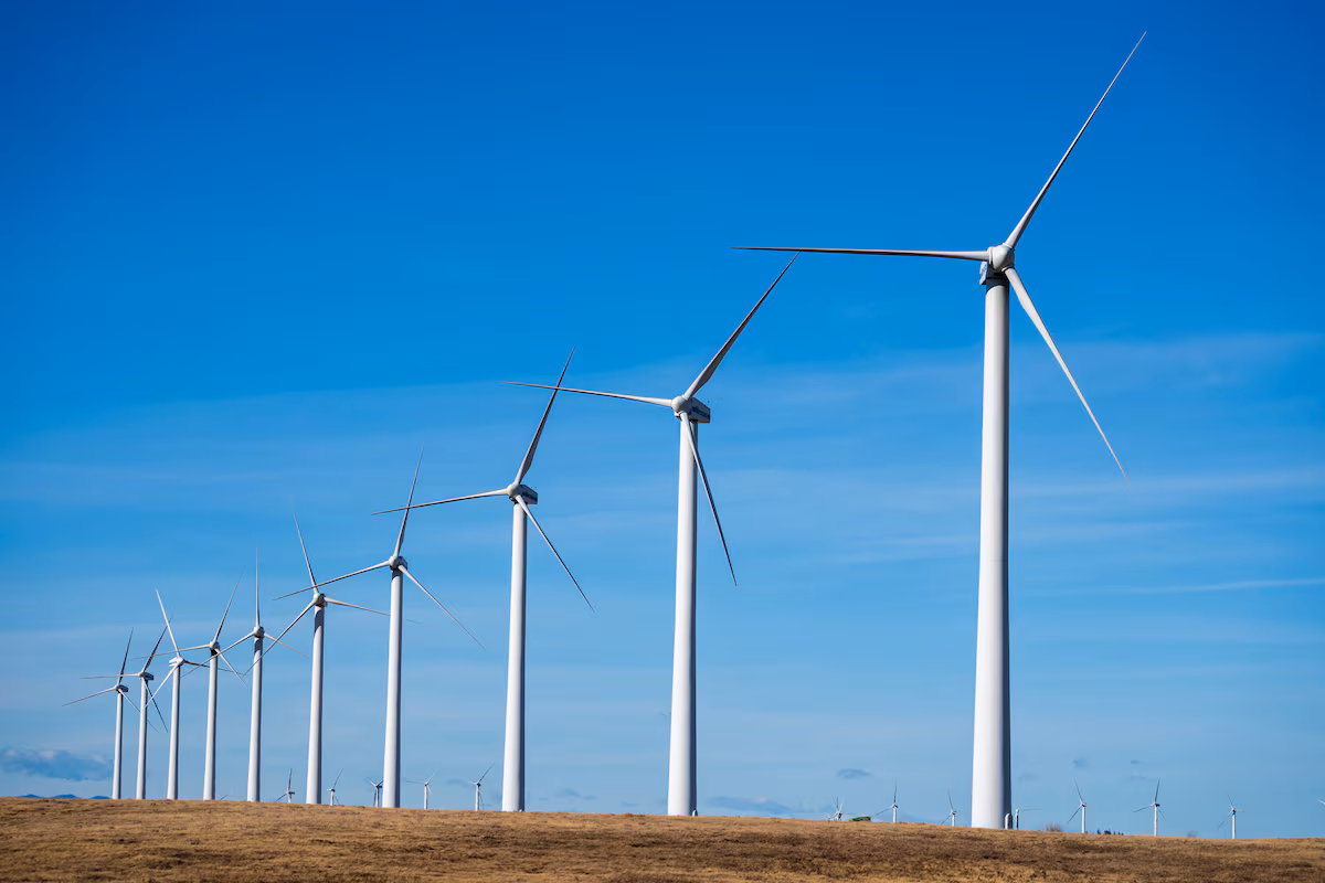 Opinion: Canada must remember that the future is electricity, not fossil fuels