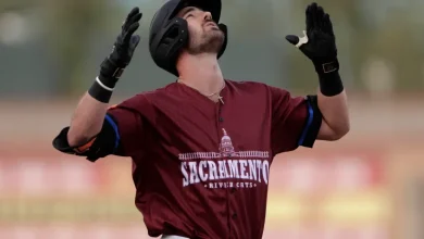 Orange & Black wisdom