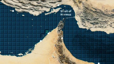 Our Low-IQ President Did an Oopsie - The Bulwark