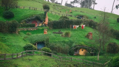 Palantir Urges Former Employees to Return: 'the Shire Is Calling'