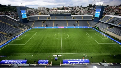 Palmeiras x Novorizontino: onde assistir ao vivo, horário e escalações