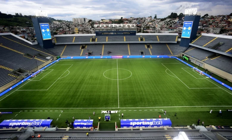 Palmeiras x Novorizontino: onde assistir ao vivo, horário e escalações