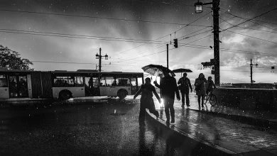 Partial westerly influence may cause rain in some places