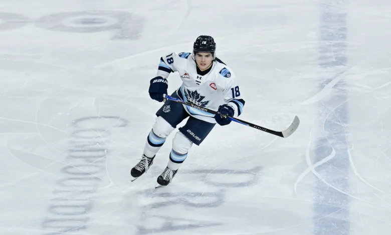 Penticton Vees head into first playoff game in WHL versus American team