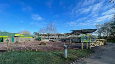 Plans submitted by Blackpool Zoo for 'safari events tent'