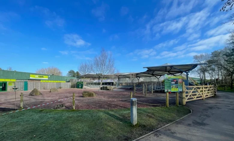 Plans submitted by Blackpool Zoo for 'safari events tent'