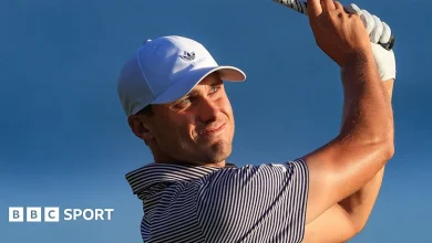 Players Championship: Ludvig Aberg leads, Rory McIlroy & Scottie Scheffler toil at Sawgrass